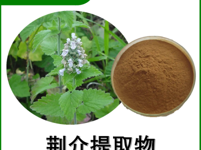 森冉生物 荆介提取物 线芥提取物 植物提取原料粉图1