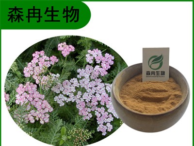森冉生物 蓍草提取物 一枝蒿提取物 植物提取原料粉图1