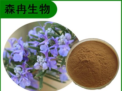 森冉生物 迷迭香提取物 艾菊提取物 植物提取原料粉图1