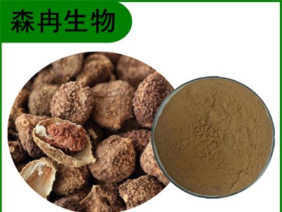 森冉生物 砂仁提取物 缩砂仁提取物 植物提取原料粉图1