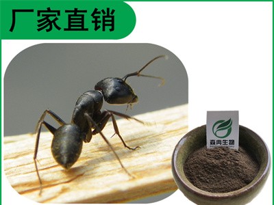 森冉生物 黑蚂蚁提取物 黑蚂蚁粉  比例提取原料粉图1