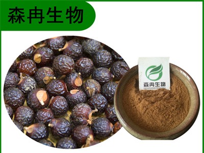 森冉生物 无患子提取物 无患果提取物 无患子皂甙图1