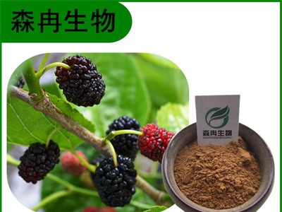 森冉生物 桑葚提取物 桑果提取物 桑葚粉图1