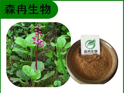 森冉生物 鹿衔草提取物 鹿蹄草提取物 植物提取原料粉图1