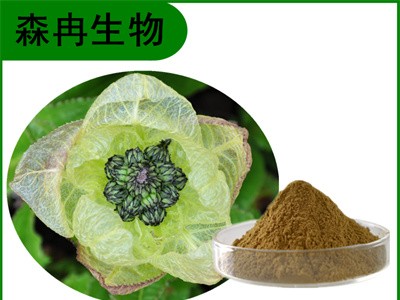 森冉生物 雪莲花提取物 大苞雪莲提取物 比例提取原料粉图1