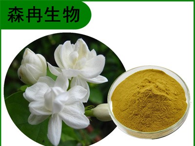 森冉生物 茉莉花提取物 白茉莉提取物 比例提取原料粉图1