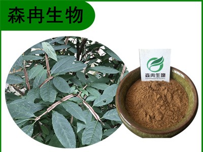 森冉生物 鬼箭羽提取物 卫矛提取物 比例提取原料粉图1