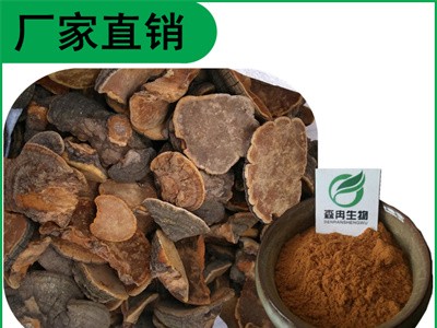 森冉生物 槐耳提取物 槐菌提取物 槐耳多糖图1
