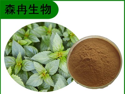 森冉生物 溪黄草提取物 血风草提取物 全水溶原料粉图1
