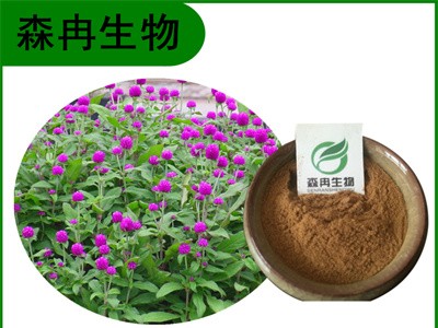 森冉生物 千日红提取物 千年红提取物 比例提取原料粉图1