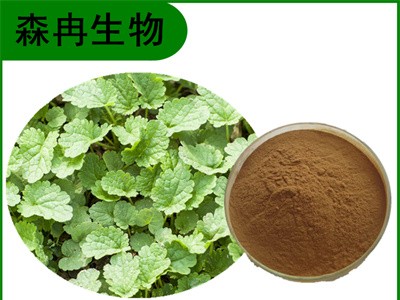 森冉生物 连钱草提取物 金钱草提取物 比例提取原料粉图1
