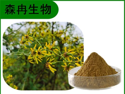 森冉生物 千里光提取物 九里明提取物 全水溶原料粉图1