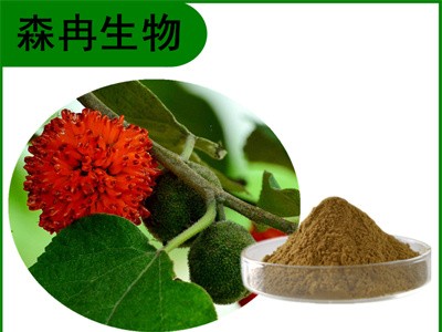 森冉生物 楮实子提取物 谷桑提取物 植物提取原料粉图1