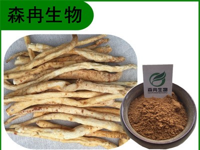 森冉生物 北沙参提取物 辽沙参提取物 全水溶原料粉图1