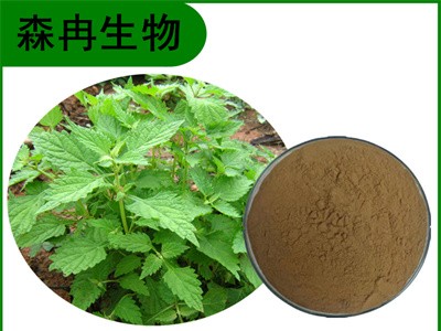森冉生物 冬凌草提取物 山香草提取物 比例提取原料粉图1