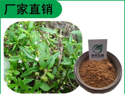 森冉生物 白花蛇舌草提取物 蛇针草提取物 全水溶原料粉图1