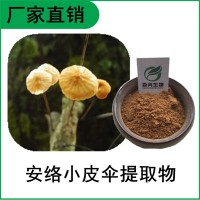 森冉生物 安络小皮伞提取物 安络小皮伞多糖 鬼毛针提取物