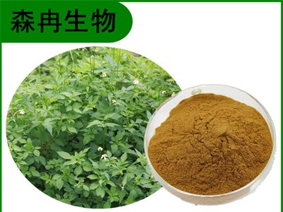 森冉生物 鬼针草提取物 婆婆针提取物 植物提取原料粉图1