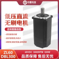 深圳中菱科技60直流无刷电机300W 型号ZL60*L300