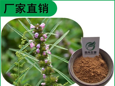 森冉生物 益母草提取物 茺蔚提取物 植物提取原料粉图1