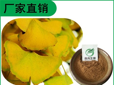 森冉生物 银杏叶提取物 白果树叶提取物 银杏叶黄酮图1
