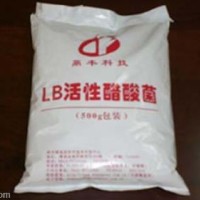 醋酸菌