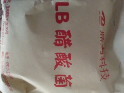 醋酸菌图2