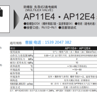 AP22E4-40A-E3TCN-DC220V，CKD电磁阀