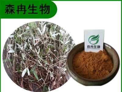 森冉生物 翻白草提取物 鸡脚草提取物 比例提取原料粉