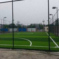 成都足球场草坪每平米价格 成都足球场草坪厂家批发