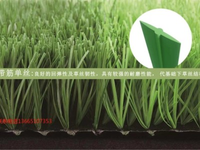 成都足球场草坪每平米价格 成都足球场草坪厂家批发图3