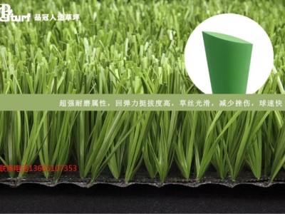 成都足球场草坪每平米价格 成都足球场草坪厂家批发图5