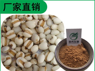 森冉生物 薏苡仁提取物 薏米提取物 比例提取原料粉图1