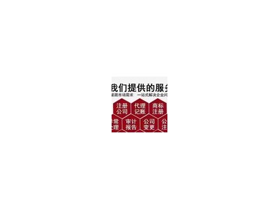 代理记账、代理报税、工商年检代理服务，注册会计师图2