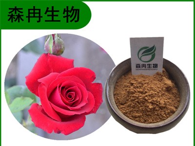 森冉生物 玫瑰花提取物 徘徊花提取物 比例提取原料粉图1