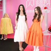 IRENENA女装温碧霞自创品牌显瘦好大摆裙鱼骨抹胸晚礼服
