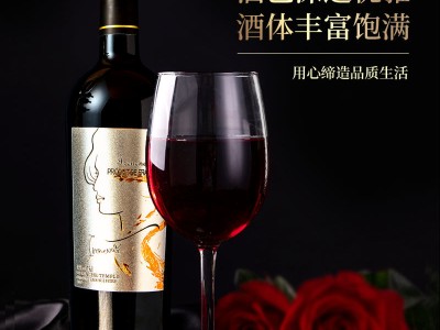IRENENA红酒温碧霞自创品牌进口法国葡萄酒海潮丹娜品质干红图3
