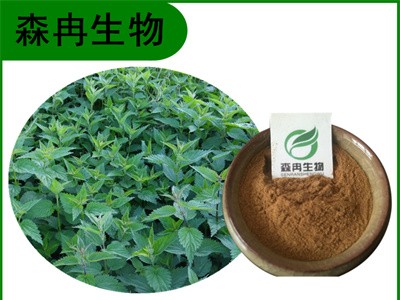 森冉生物 荨麻提取物 蜇人草提取物 比例提取原料粉图1