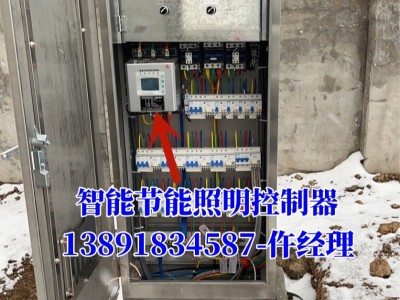 智能节能照明控制器YC-3-30-路灯照明节电器-智能照明节电器图2