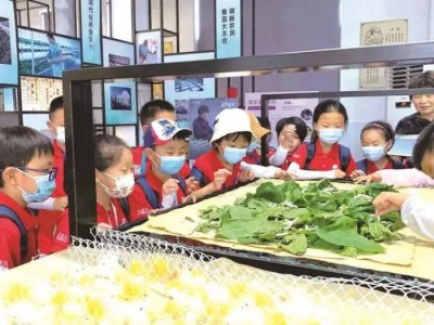 苏州三六六社会实践青少年研学之旅探索桑蚕文化传承丝绸文明图1