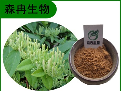 森冉生物 山银花提取物 土忍冬提取物 植物提取原料粉图1