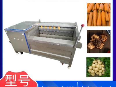 中草药毛刷清洗机 去皮去杂清洗设备 荸荠去泥清洗机图2