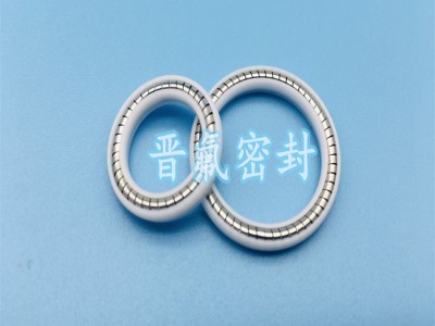 四氟轴用泛塞封耐高温耐腐弹簧蓄能密封圈图2