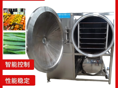 芒果真空冻干机 休闲食品低温脱水冻干设备 桑葚冷冻干燥机图2