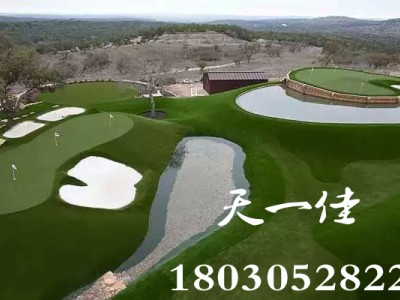 广东高尔夫果岭高尔夫球场练习果岭图2