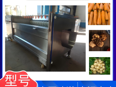 全自动毛辊清洗机 大姜去皮清洗设备 甘蔗去泥清洗机图2