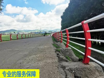 珠海桥梁道路安全防护栏铁艺喷涂天桥栏杆佛山观景河道隔离栅栏图2
