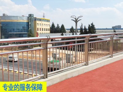 珠海桥梁道路安全防护栏铁艺喷涂天桥栏杆佛山观景河道隔离栅栏图3