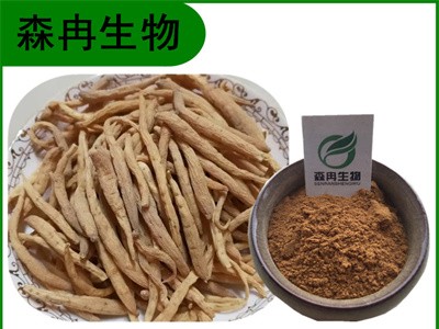 森冉生物 太子参提取物 四叶参提取物 比例提取原料粉图1