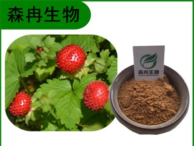 森冉生物 蛇莓提取物 蛇含草提取物 比例提取原料粉图1